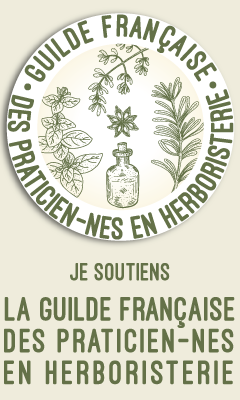 Services baniere gufph 240x400