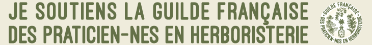 banniere guilde 170x90 logo droite